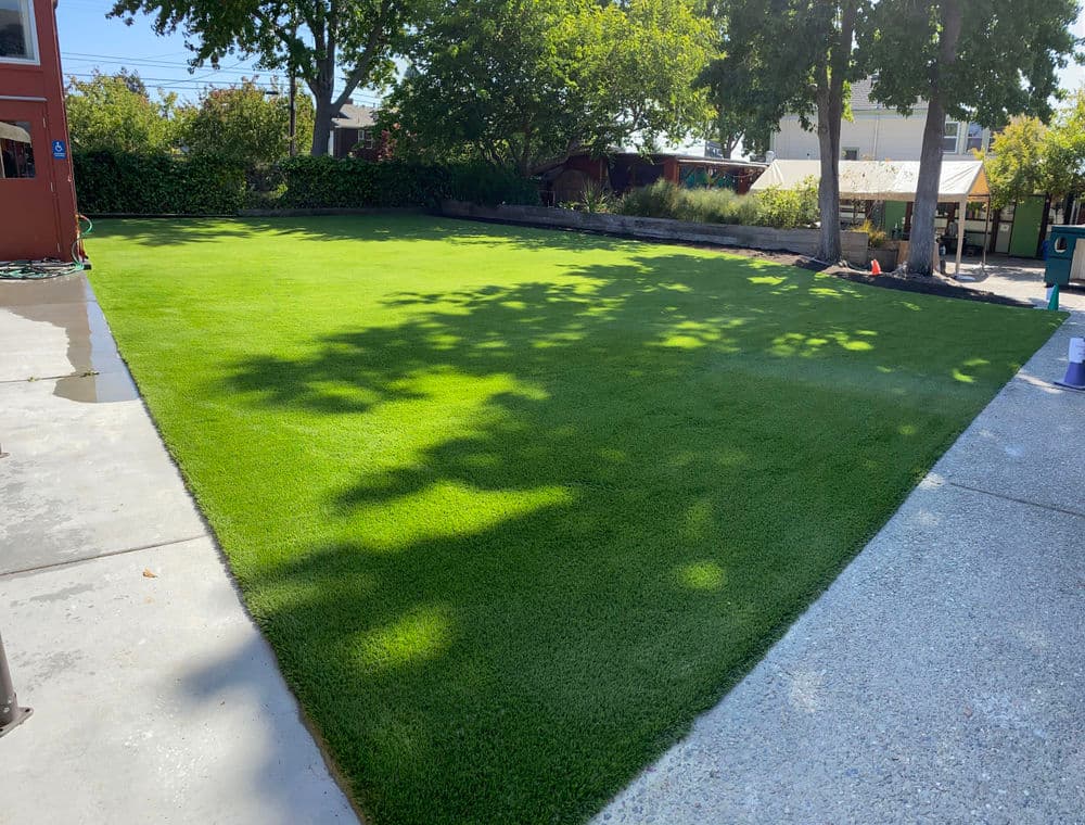 Lush green artificial grass lawn in a sunny yard with trees and patios.