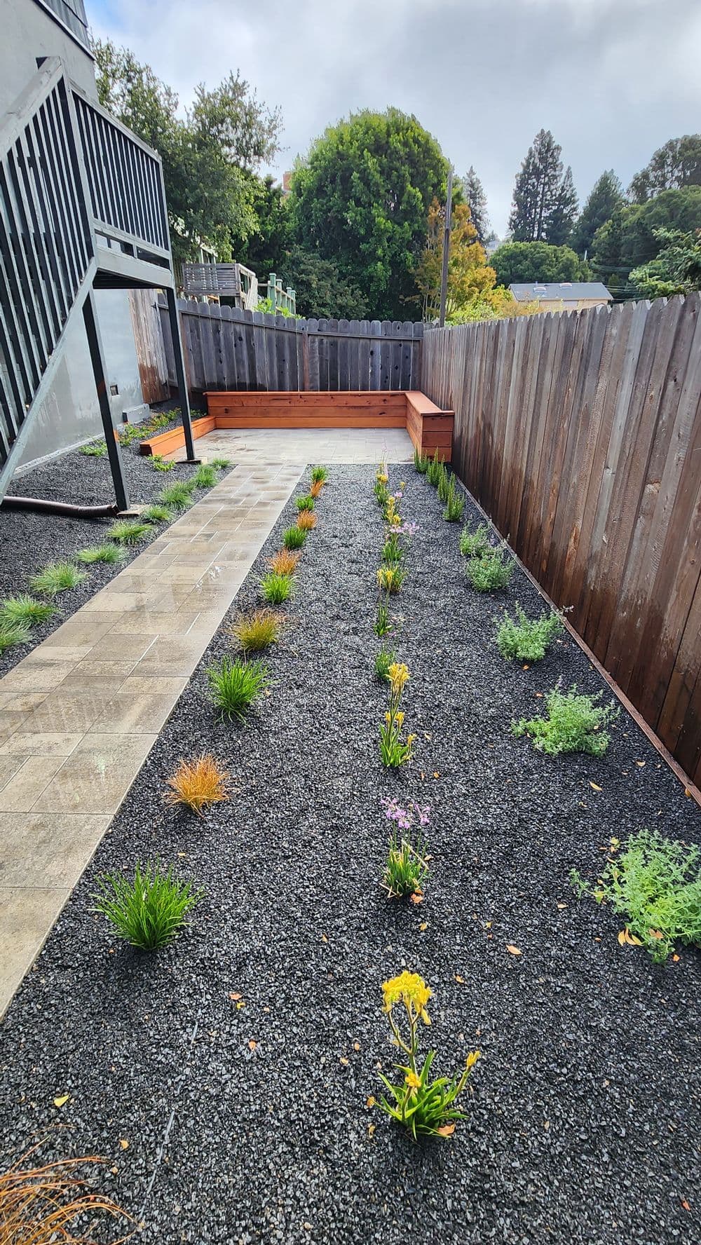 Modern garden design featuring a gravel pathway and vibrant plants in a serene outdoor setting.