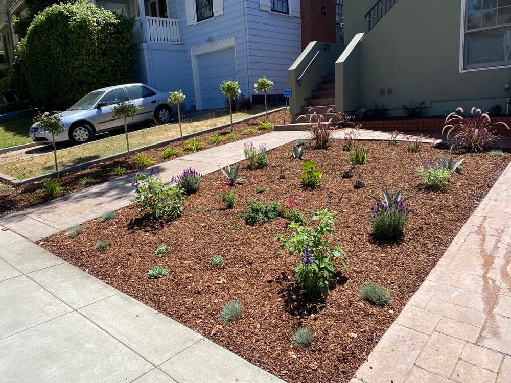 Xeriscape garden with colorful plants and mulch, enhancing curb appeal and sustainability.